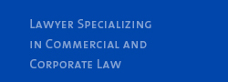 Lawyer Specializing in Commercial and Corporate Law